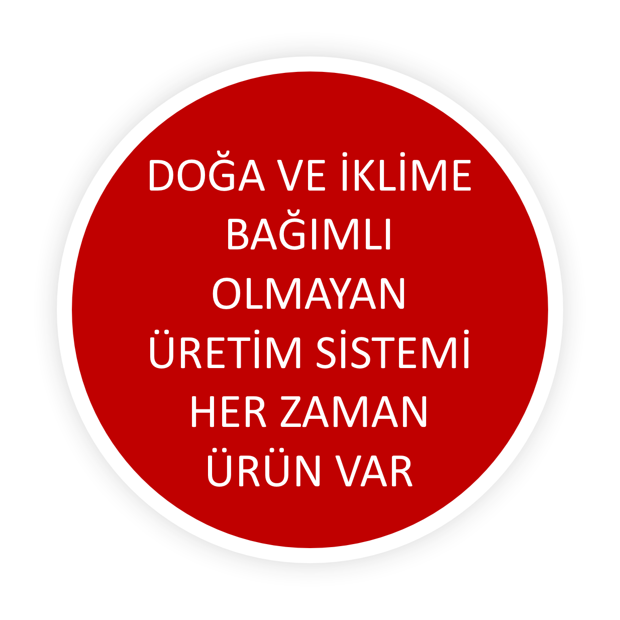 4 Nesneden Oluşan Grup (1)