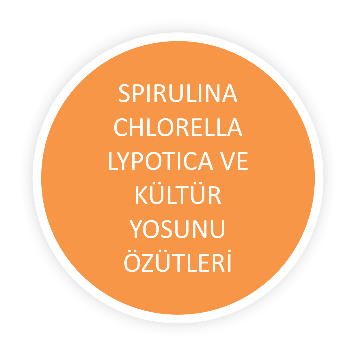 4 Nesneden Oluşan Grup (3)