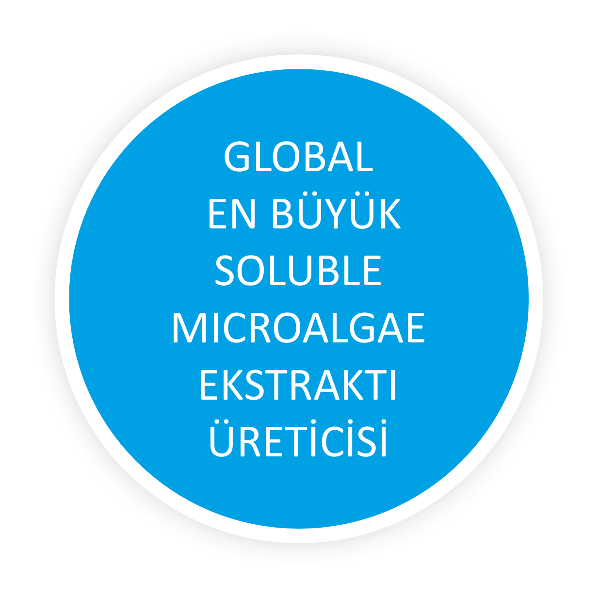 4 Nesneden Oluşan Grup (4)