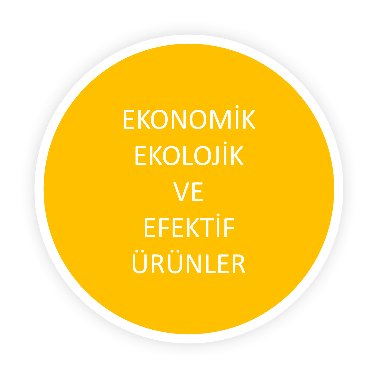 4 Nesneden Oluşan Grup